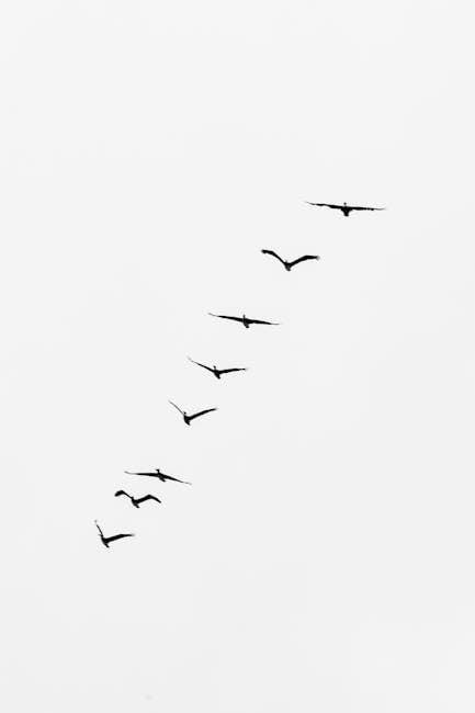unravel me free pdf