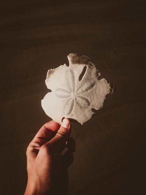 photosynthesis worksheet pdf